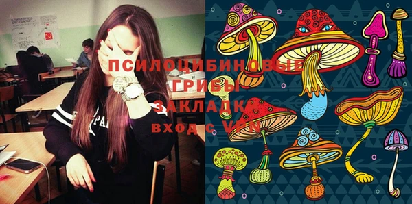 амф Аркадак