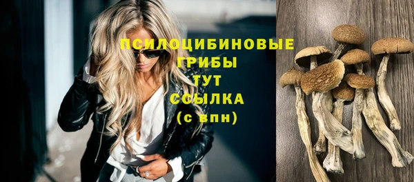 мяу мяу кристалл Армянск