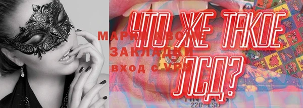 амф Аркадак